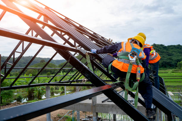 Best Roof Maintenance Services  in Stem, NC