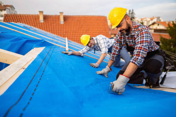 Quick and Trustworthy Emergency Roof Repair Services in Stem, NC
