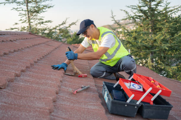 Best Storm Damage Roof Repair  in Stem, NC