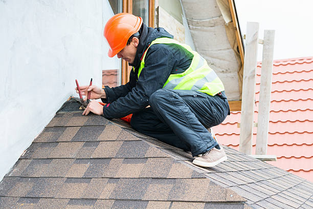 Best Roof Gutter Cleaning  in Stem, NC