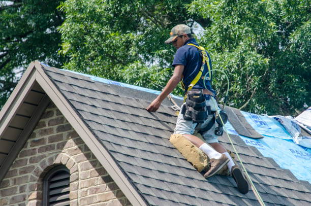 Best Commercial Roofing Services  in Stem, NC
